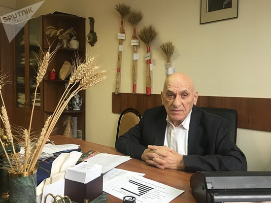 Giống lúa mì của Nga đặc biệt chịu lạnh sẽ thay thế dầu mỏ