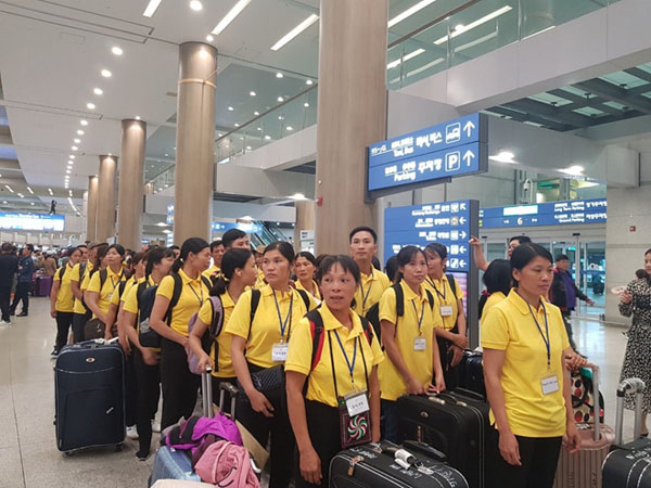 'Sốt' đi Hàn Quốc làm lao động thời vụ