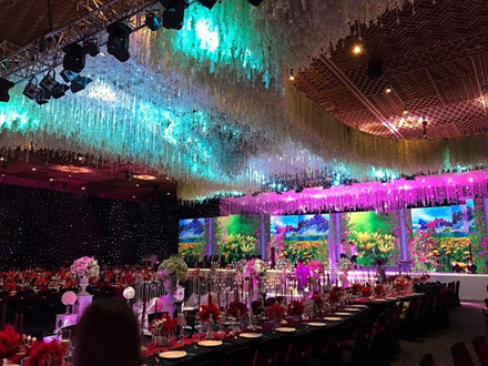 Tiệc cưới Trấn Thành – Hari Won lung linh đẹp như cổ tích đón khách