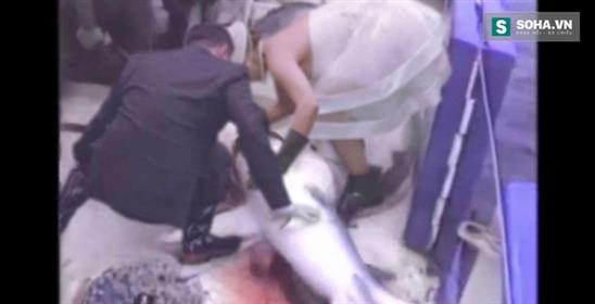 Sự thật tàn nhẫn đằng sau mỗi đám cưới sang trọng ở Hong Kong