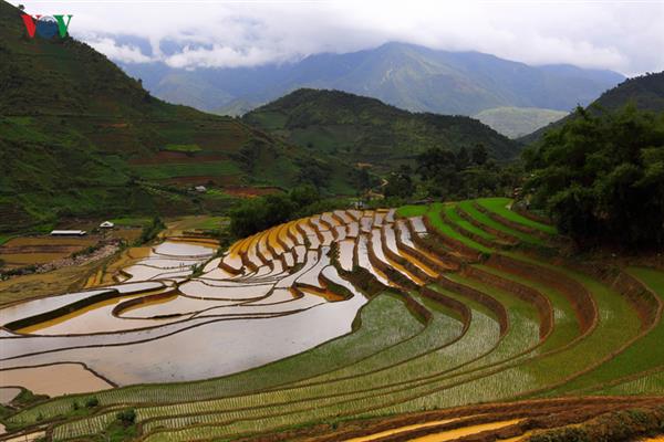 Mù Cang Chải - một trong những điểm đến đẹp nhất thế giới