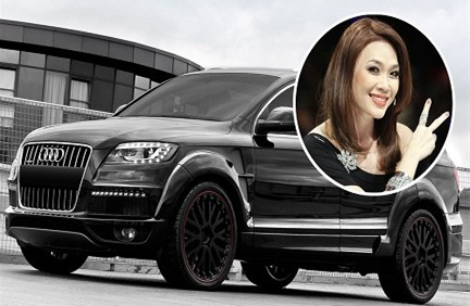 Mỹ Tâm giàu đến mức nào?