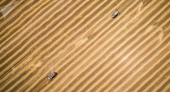 Bloomberg: Nga chiếm lĩnh thị trường lúa mì ở Việt Nam