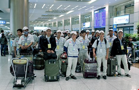 Biết là kiếm sống, nhưng rất đáng trách