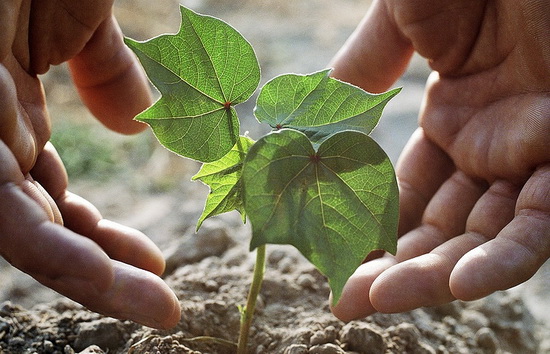 Nga sản xuất thành công đất nhân tạo