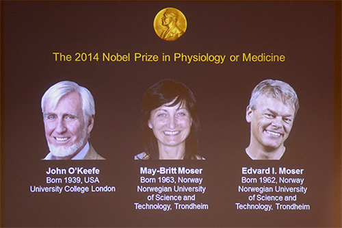 Nobel Y Sinh 2014: khám phá hệ thống định vị trong não