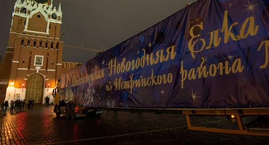 Cây thông Năm Mới chính của nước Nga đã về tới điện Kremlin