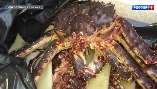 Moskva: Bị truy cứu trách nhiệm vì buôn lậu cua hoàng đế