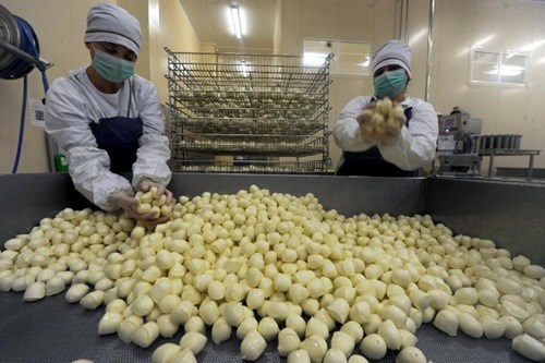 Bị cấm nhập khẩu từ EU, nạn buôn lậu vào Nga gia tăng