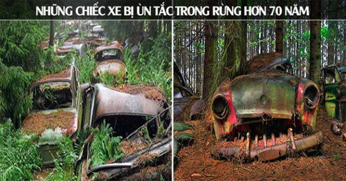 Nhà leo núi tình cờ phát hiện ra ‘bãi xe ma’, nơi ẩn chứa những câu chuyện kỳ bí