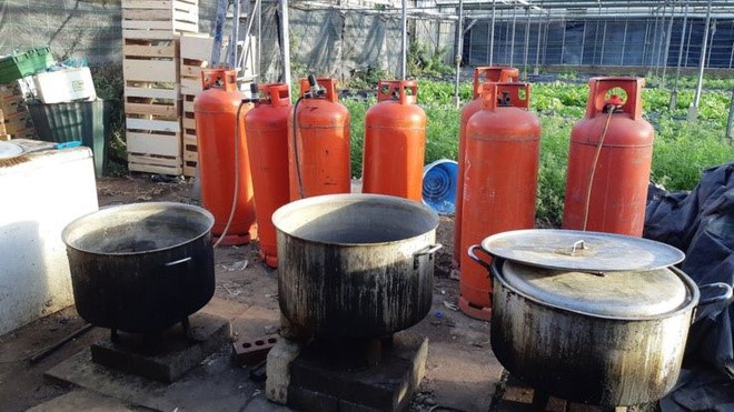 Phát hiện 5 người Việt sống 'tù túng, khổ sở' trong vườn ươm ở Anh