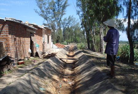 Đà Nẵng, Quảng Nam... khô cháy: Bộ TNMT 