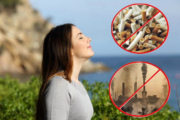 Ăn gì để bảo vệ phổi trong môi trường ô nhiễm