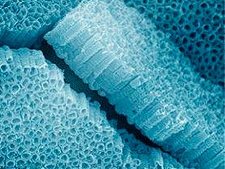 Nga chế tạo được vật liệu nhẹ như nhôm, bền như thép