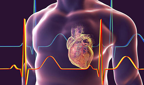 Hóa ra đây là 5 điều mà cơ quan nội tạng con người “sợ” nhất và rất nhiều người đang vô tình phá hủy chúng mà không hề hay biết