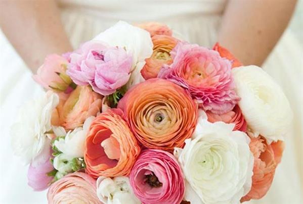 Chú rể vắng mặt trong lễ cưới vì nợ tiền phạt