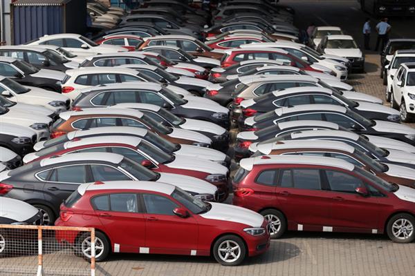 Xót xa nhìn hàng trăm xe sang nằm phơi sương