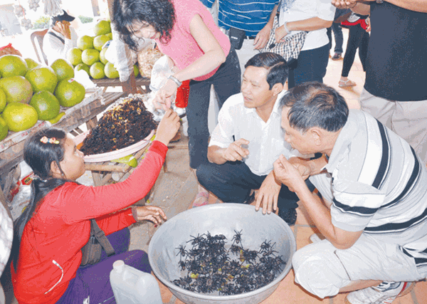 Thời… sinh lý yếu!