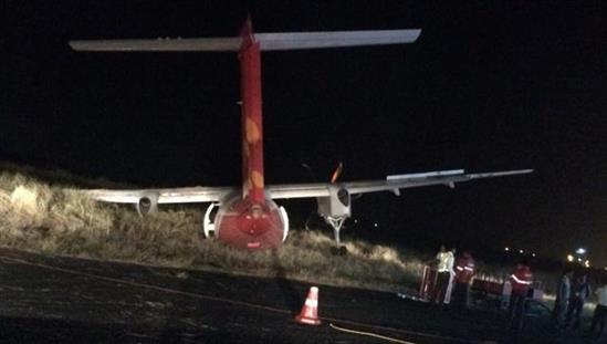 50 hành khách rợn tóc gáy vì máy bay va phải một đàn lợn