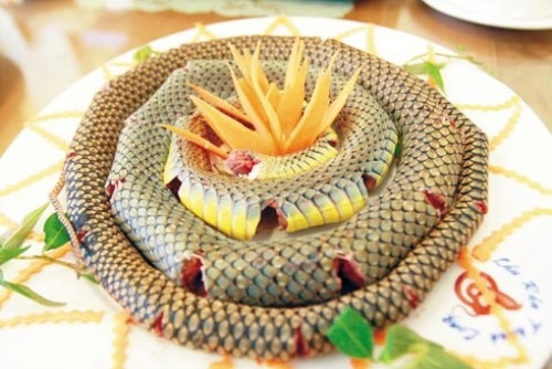 Ăn thịt rắn có tốt không?