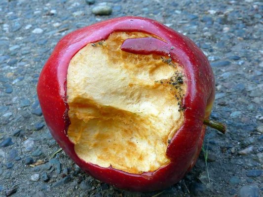 Apple đang trốn thuế hàng tỷ USD