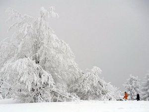 Vùng Viễn Đông Nga chìm trong băng giá -50 độ C