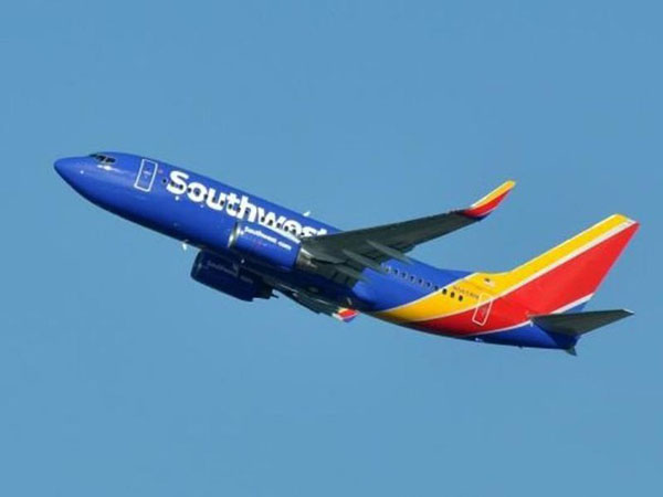 Máy bay buộc quay đầu vì... quên tim người trên khoang hành lý