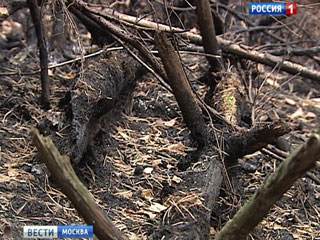 Moskva sẽ bị phủ khói vào mùa hè sắp tới?