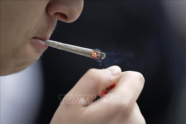 Ngăn chặn 'kẻ hủy diệt' mang tên khói thuốc