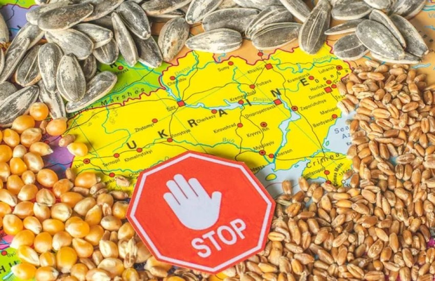 Ba Lan có thể mở rộng lệnh cấm nhập khẩu ngũ cốc Ukraine