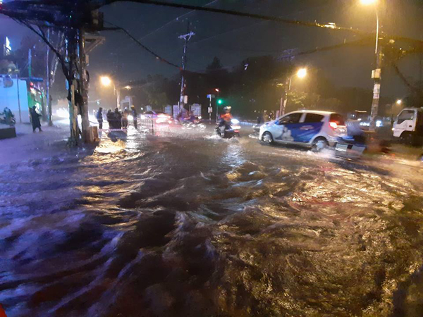 Bão số 9: Cây xanh bật gốc, hàng loạt tuyến đường TP Hồ Chí Minh chìm trong biển nước