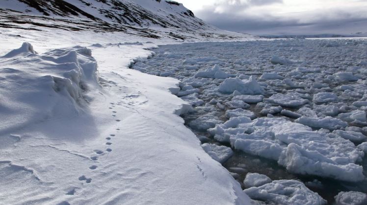 Nga sẽ đáp trả mọi nỗ lực phớt lờ lợi ích của mình tại Bắc Cực