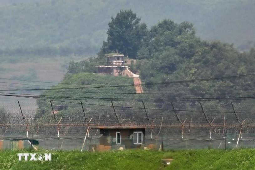 Hàn Quốc khôi phục Vụ Chính sách Triều Tiên sau gần một năm giải thể