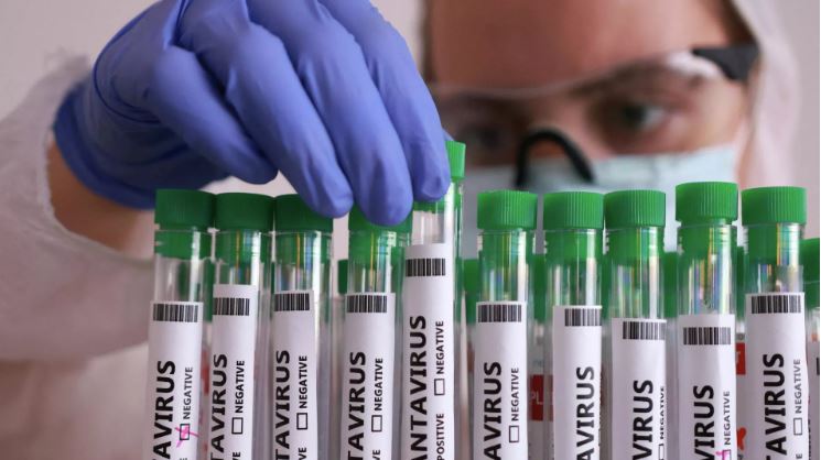 Indonesia phát hiện 3 ca hantavirus