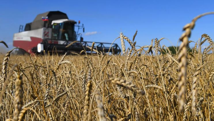 Lần đầu tiên một trong những tỉnh của Nga xuất khẩu lúa mì sang Việt Nam