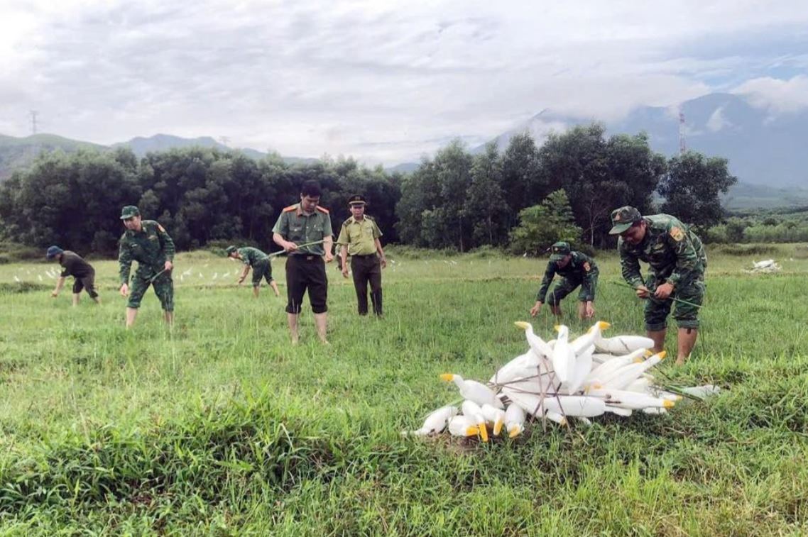 Huế tháo dỡ hàng nghìn dụng cụ bẫy chim, cò