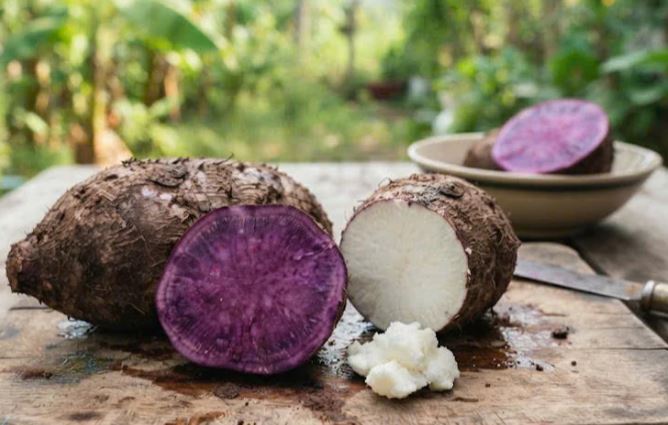 5 lợi ích khi ăn khoai mỡ thường xuyên