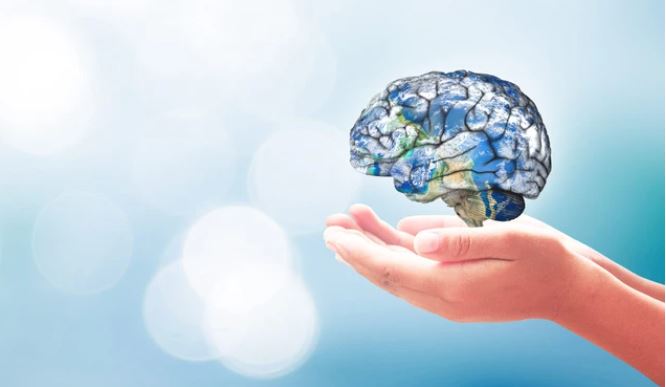 Điều gì xảy ra với não bộ nếu thường xuyên ăn cá 2 lần mỗi tuần?