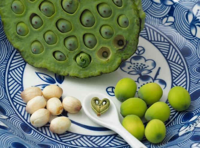 Mất ngủ nên ăn hạt sen tươi hay hạt sen khô để dễ vào giấc?