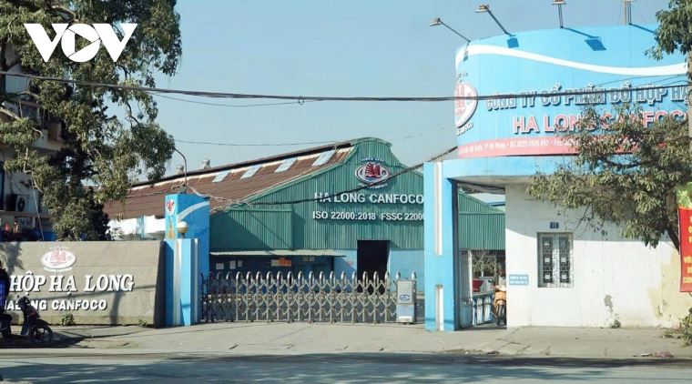 Bắt khẩn cấp tổng giám đốc công ty cổ phần Đồ hộp Hạ Long