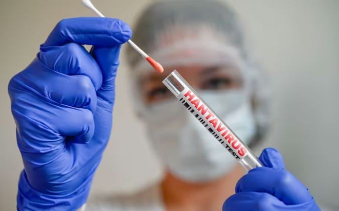 Tại sao dịch virus Hanta khác COVID-19?