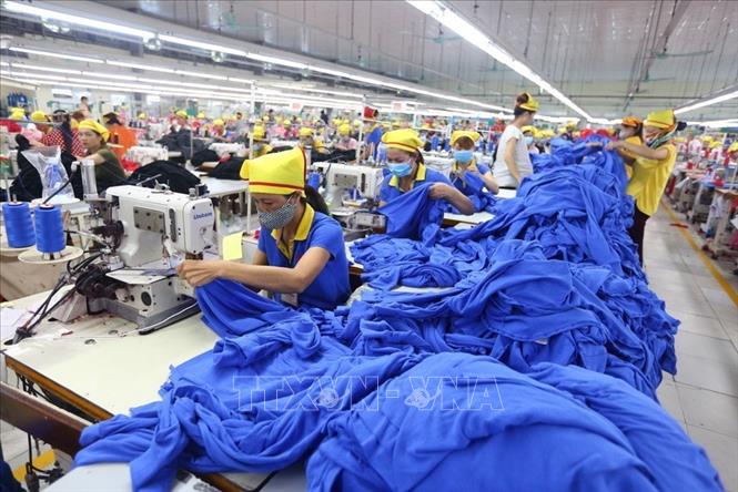 Xuất siêu kỷ lục - âu lo nhiều hơn vui mừng
