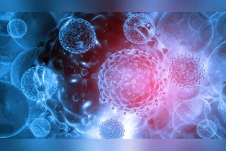 Ấn Độ phát hiện trường hợp đầu tiên nhiễm virus HMPV