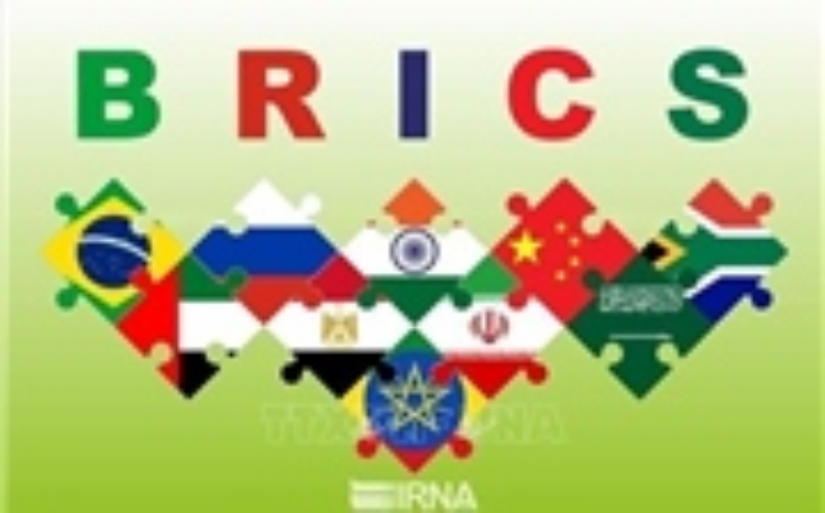 Nga kêu gọi BRICS tìm giải pháp thay thế cho IMF