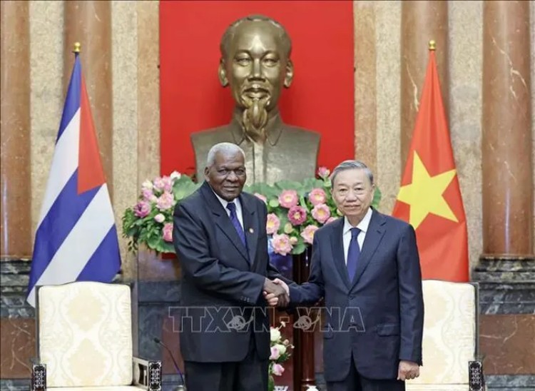 Chủ tịch nước Tô Lâm tiếp Chủ tịch Quốc hội Cuba