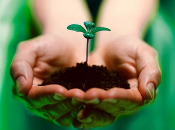 Tâm sinh tướng, Tướng đẹp được quyết định bởi Tâm