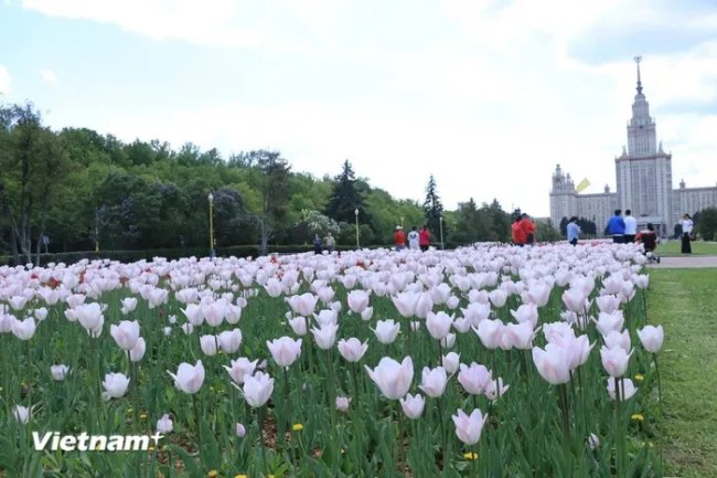 Chiêm ngưỡng cảnh sắc trên Đồi Chim sẻ ở giữa lòng Thủ đô Moskva của Nga