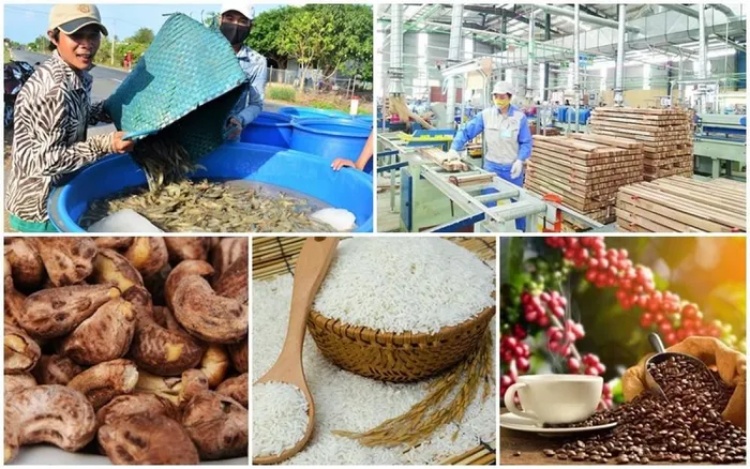 Nhiều nông sản Việt Nam đối diện mức kiểm soát dư lượng hoạt chất mới từ EU