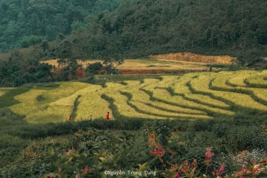 Leo đỉnh Lùng Cúng, nhìn ngắm mây bay