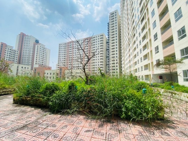 Hàng chục nghìn căn hộ bỏ hoang giữa lúc giá chung cư tăng cao